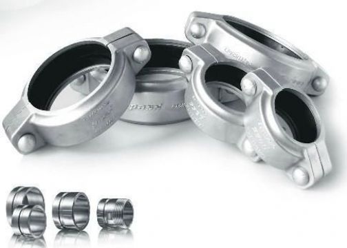 點擊查看詳細信息<br>標題：拷貝林 閱讀次數(shù)：1922